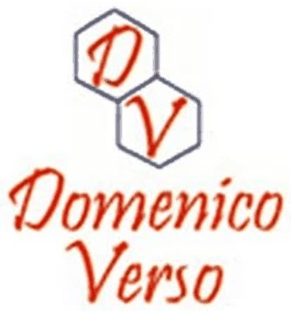Autocarrozzeria Verso Domenico Logo